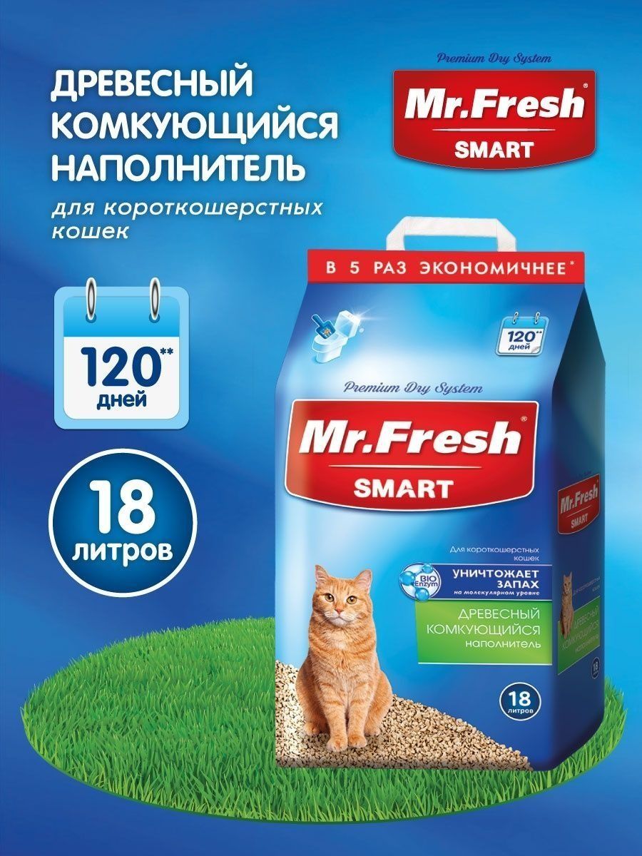 Smart fresh. Mr Fresh Cat.