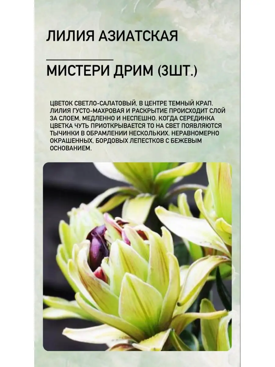 Порно видео: Аленький цветочек порно