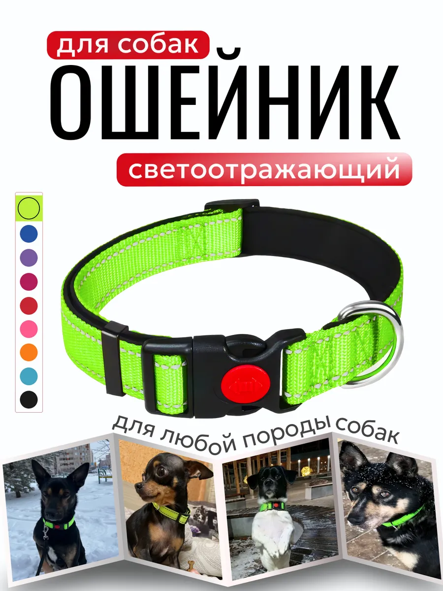 Ошейник для собак крупных и средних