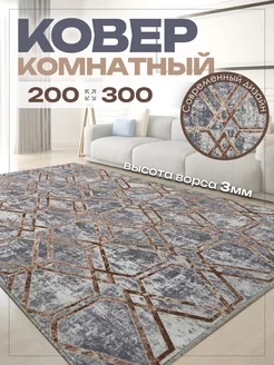 Ковер 200х300 комнатный в гостиную 200 на 300 AVELINA CARPET 163034501 купить за 3 188 ₽ в интернет-магазине Wildberries