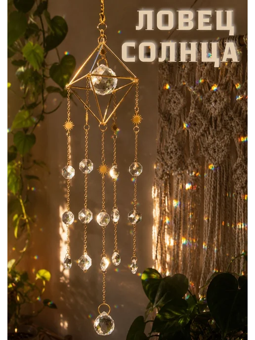 Полосатая клумба Ловец солнца, вариант, фото 2