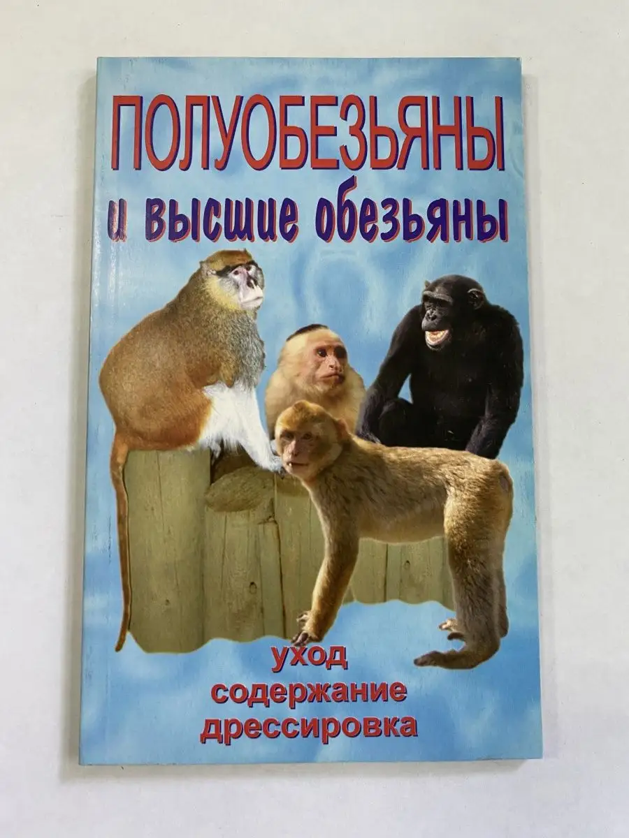 Полуобезьяны и высшие обезьяны. Содержание и уход Аквариум 163100185 купить  за 198 ₽ в интернет-магазине Wildberries