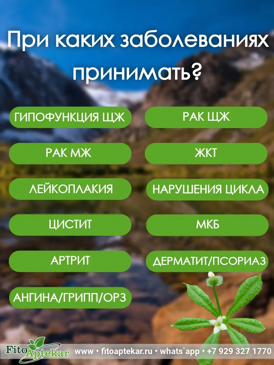 Подмаренник цепкий, настойка 250 мл ФИТО-АПТЕКАРЬ 163119608 купить за 616 ₽  в интернет-магазине Wildberries