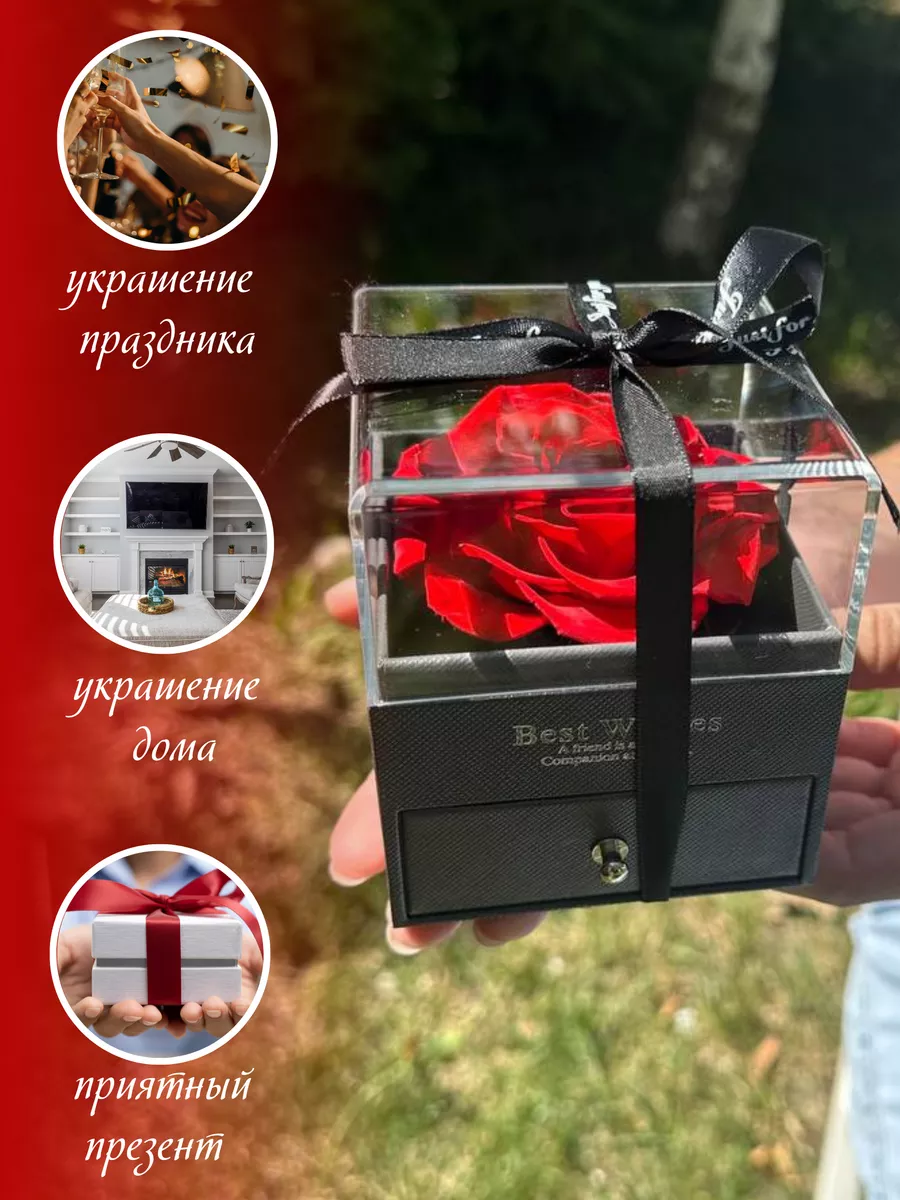 Живая роза в шкатулке с кулоном подвеска Best Wishes Rose 163212478 купить  за 1 473 ₽ в интернет-магазине Wildberries