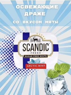 Освежающие драже Без Сахара Арктическая Мята SCANDIC 163221429 купить за 126 ₽ в интернет-магазине Wildberries