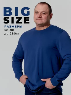 Лонгслив большие размеры с длинным рукавом MR BIGMAN 163237227 купить за 1 066 ₽ в интернет-магазине Wildberries