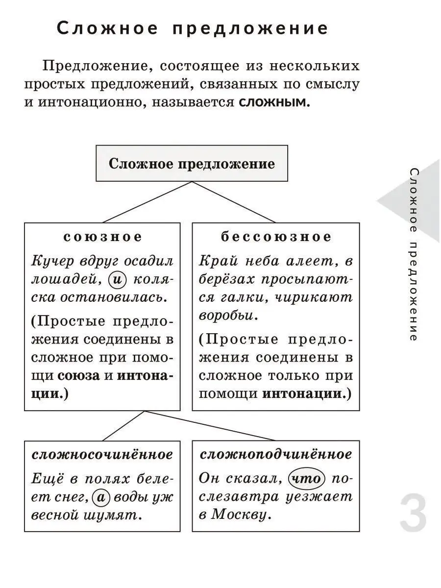 Сложноподчинённое предложение ИД ЛИТЕРА 163257739 купить за 108 ₽ в  интернет-магазине Wildberries