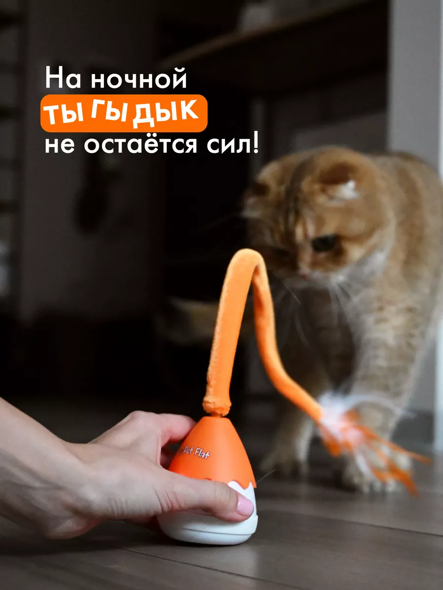 Интерактивная игрушка умная дразнилка для кошек Pet Flat 163302199 купить  за 898 ₽ в интернет-магазине Wildberries