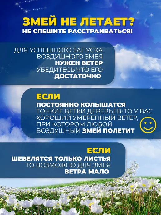 Воздушный праздник Воздушный Змей для ребенка большой Орел, серый, фото 7