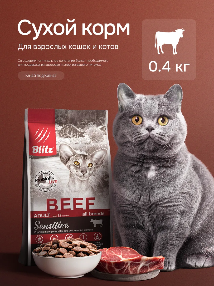 Корм для кошек сухой с говядиной 0,4 кг