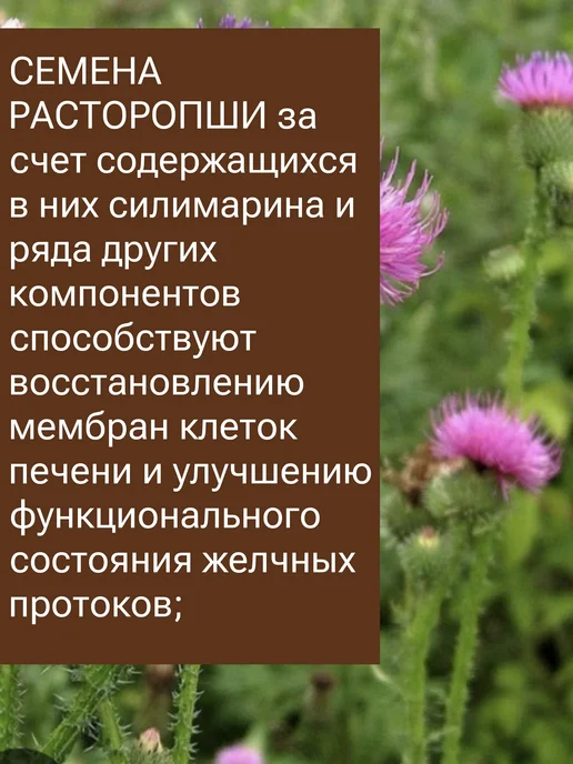 Родник Здоровья Артророз для суставов шпинат фитококтейль в таблетках, ГепаРОЗ витамины печени расторопша, фото 4