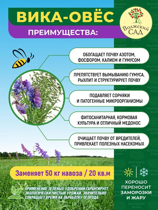 Унисем Вика овес смесь сидератов 0,5кг, 500 г, фото 2