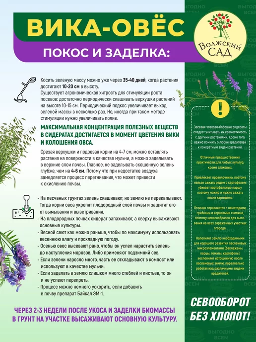 Унисем Вика овес смесь сидератов 0,5кг, 500 г, фото 5