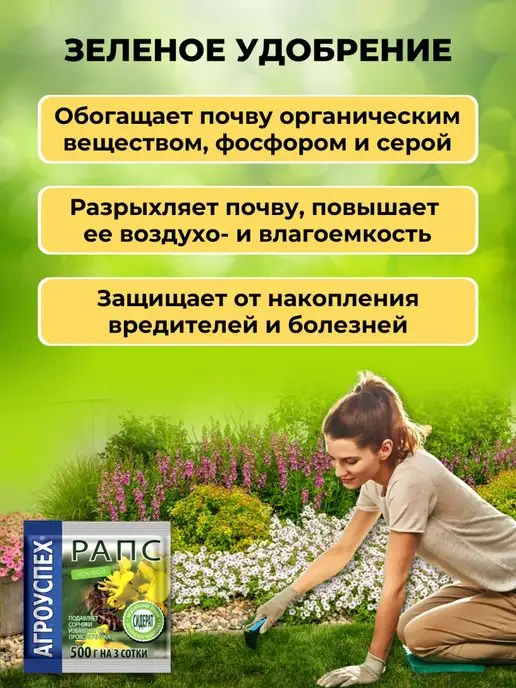 АГРОУСПЕХ Сидерат Рапс яровой 500 грамм на 3 сотки, вариант, фото 2