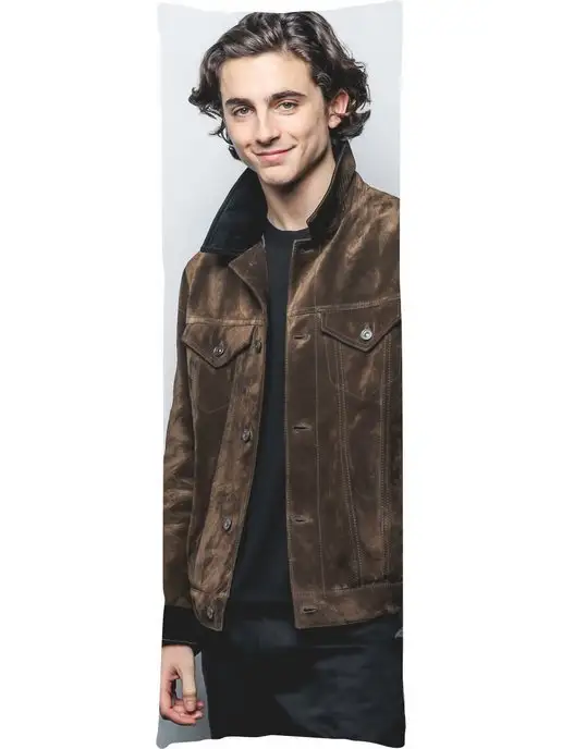 PRINT Мини дакимакура Тимоти Шаламе Timothee Chalamet