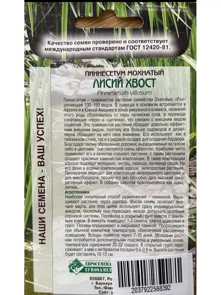 сборник публичное оголение, жена-эксгибиционистка - попечительство-и-опека.рф