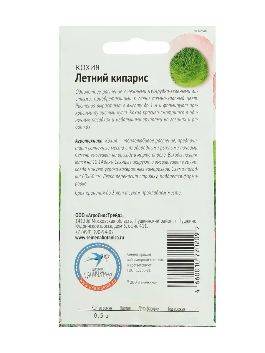 Кохия Летний кипарис 0,5 г семена однолетних растений цветов Агросидстрейд  163501130 купить за 135 ₽ в интернет-магазине Wildberries
