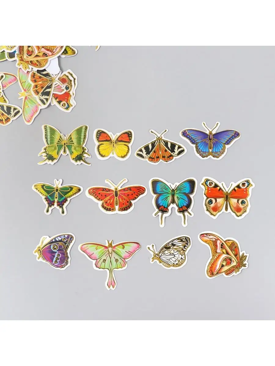 Бабочки узоры на крыльях рисунки - 62 фото