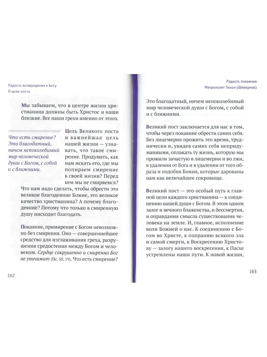 Радость покаяния. Митрополит Тихон (Шевкунов). Издательство Вольный  Странник 163540435 купить за 950 ₽ в интернет-магазине Wildberries