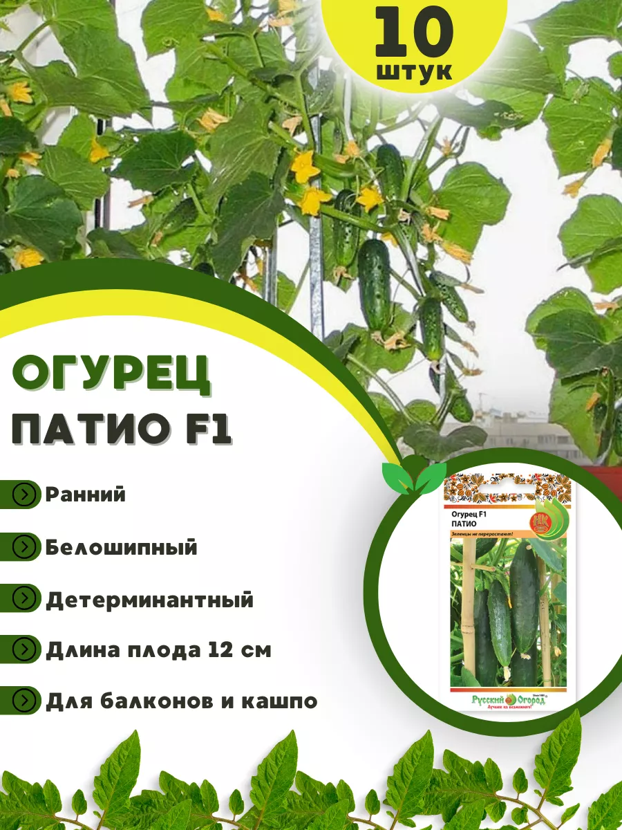 Порно девушке засунули огурец, стр. 35