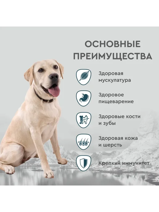 Сухой корм SECRET для собак, ягненок, 15 кг, фото 4