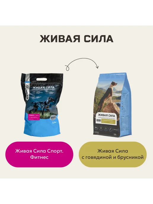 Сухой корм JJ-SPORT Живая Сила для собак, говядина, 0,4 кг, фото 2