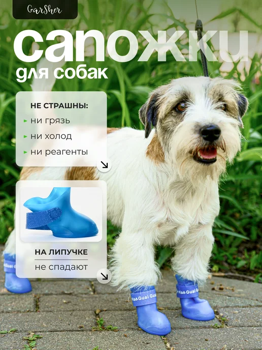 Ha Guai Guai Обувь для собак мелких пород летняя, синий