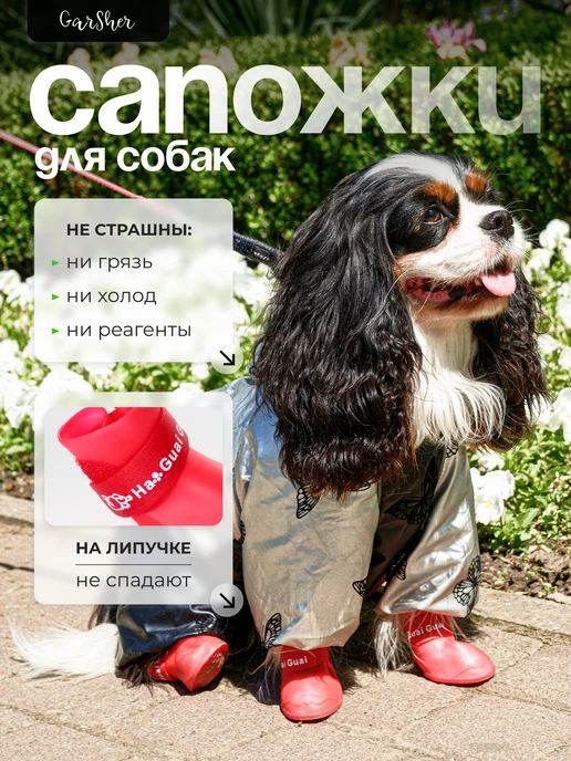 Ha Guai Guai Обувь для собак мелких пород летняя, красный