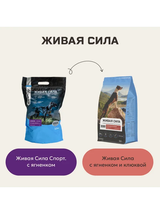 Сухой корм JJ-SPORT Живая Сила для собак, ягненок, 0,4 кг, фото 2