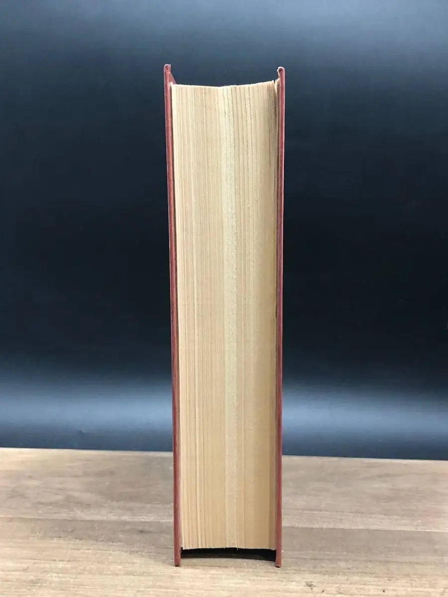 Фото 4