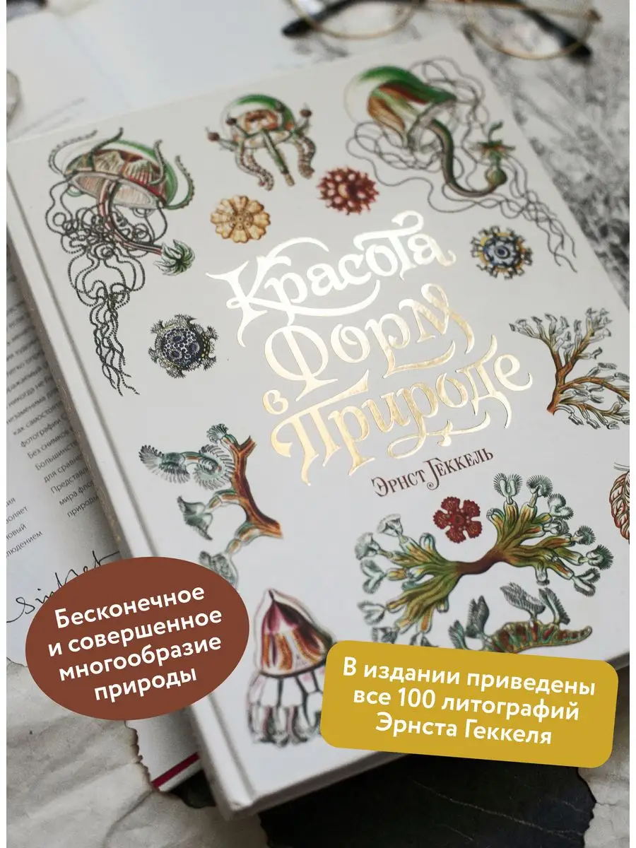 Красота форм в природе Издательство Манн, Иванов и Фербер 163721607 купить  в интернет-магазине Wildberries