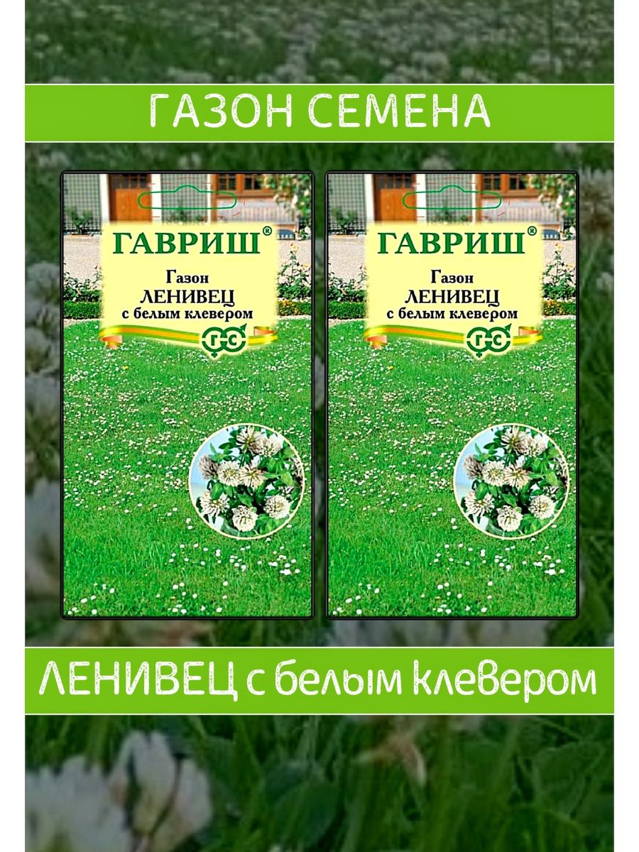 Газон ленивец. Ленивец с белым клевером. Газон лодырь. Газон Ленивец с белым клевером отзывы фото.