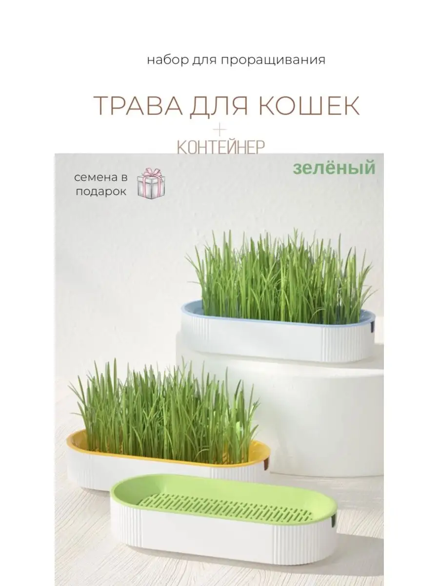 Миска для кошки с семенами для проращивания травы
