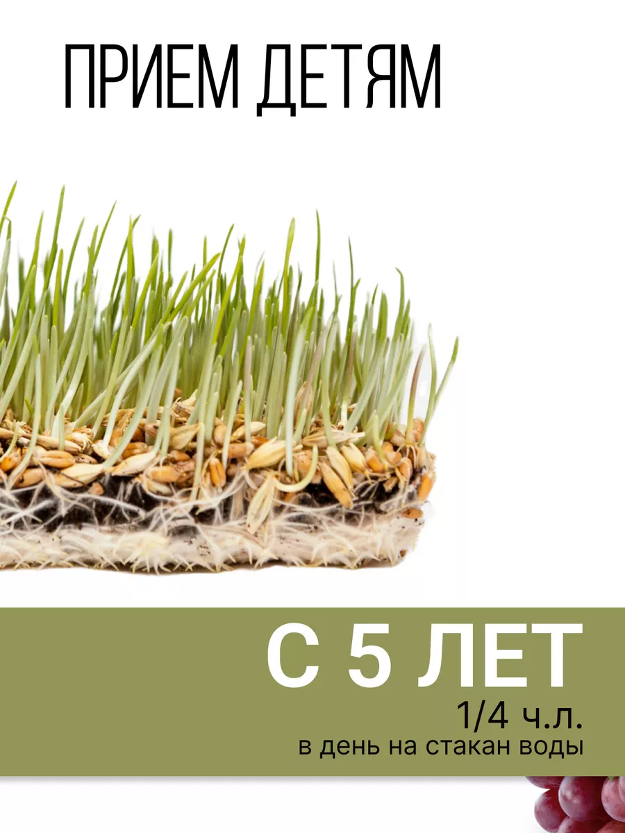 Витграсс сок ростков пшеницы + ресвератрол, порошок, 150 г SNEKO GOLD  163780077 купить за 494 ₽ в интернет-магазине Wildberries