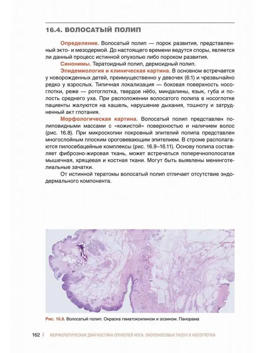 «Полапать женщину за письку? Да, ладно! Все так говорят. Разве женщины так не делают?»