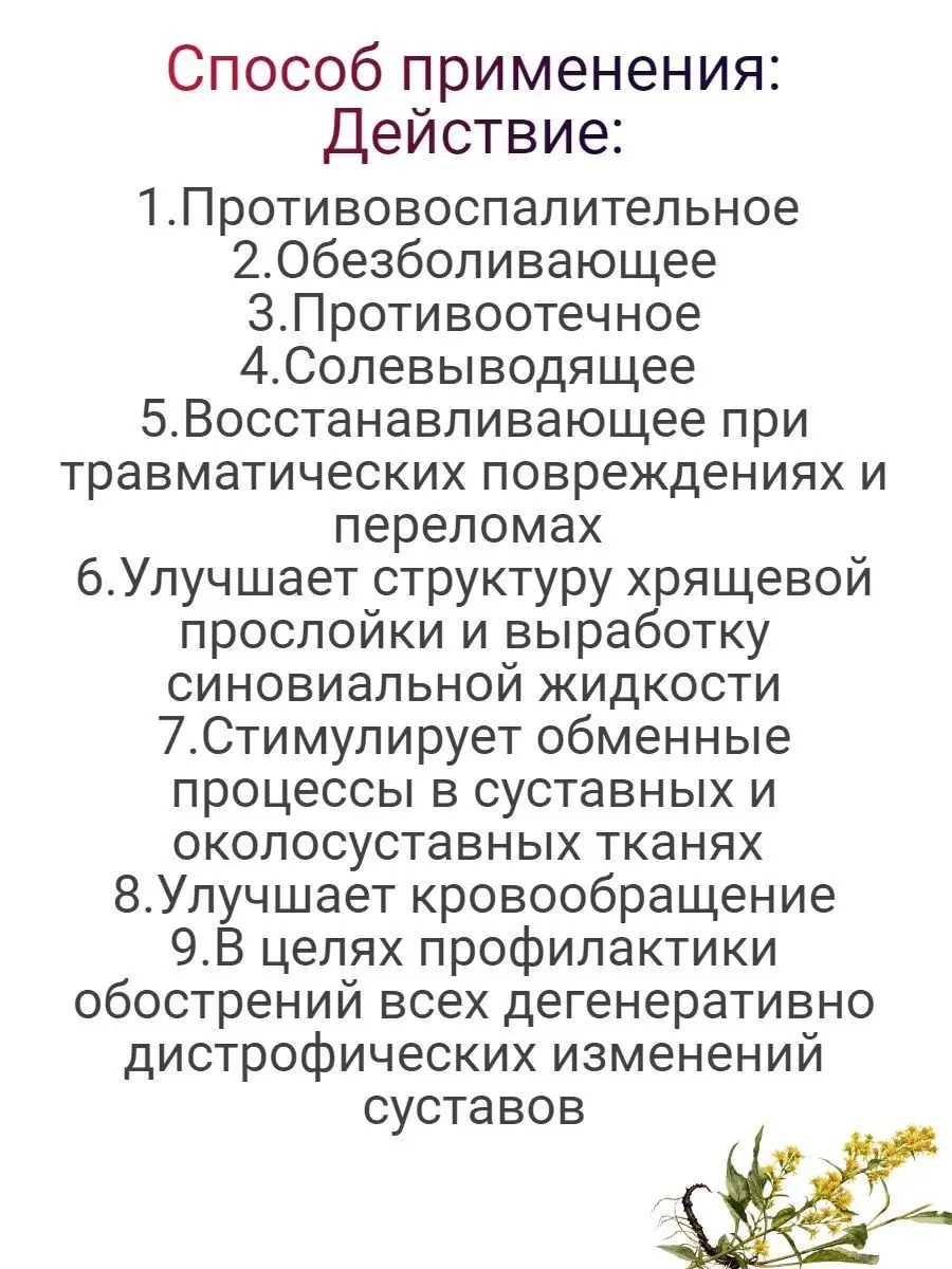 Врач назвала заболевания, при которых полезен отвар из шиповника