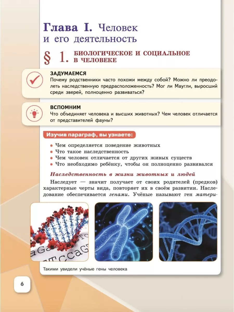 Обществознание. 6 класс. Учебник 2024, Боголюбов Л.Н. Просвещение 163838973  купить за 1 415 ₽ в интернет-магазине Wildberries