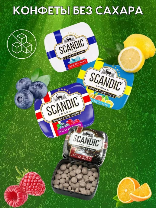 SCANDIC: купить товары бренда в интернет-магазине Wildberries