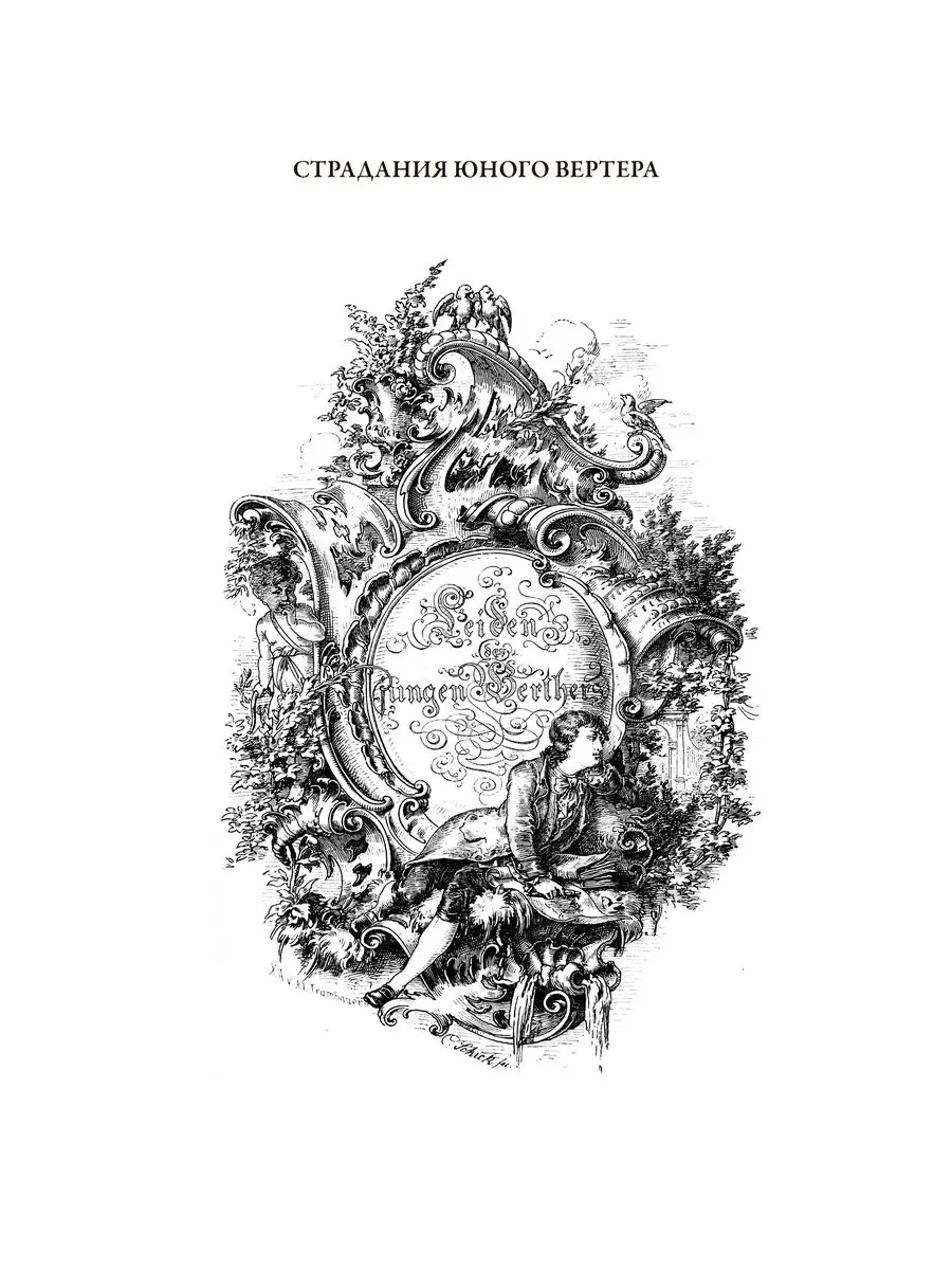 Гете Страдания юного Вертера с иллюстрациями Издательство СЗКЭО 163853624  купить за 313 ₽ в интернет-магазине Wildberries