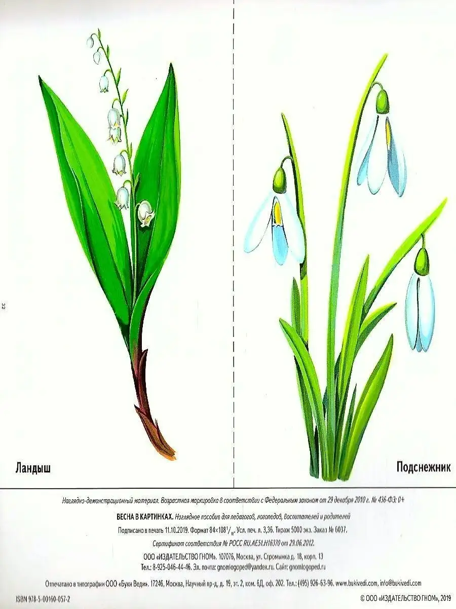 Весна в картинках. Наглядное пособие для педагогов,логопедов ИЗДАТЕЛЬСТВО  ГНОМ 163861902 купить за 157 ₽ в интернет-магазине Wildberries