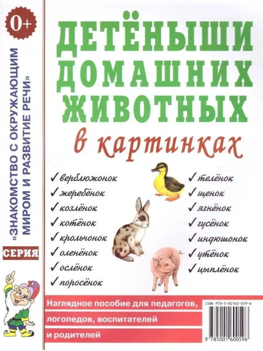 Домашние животные, детеныши животных в картинках. Стихи и ИЗДАТЕЛЬСТВО ГНОМ  163861996 купить в интернет-магазине Wildberries