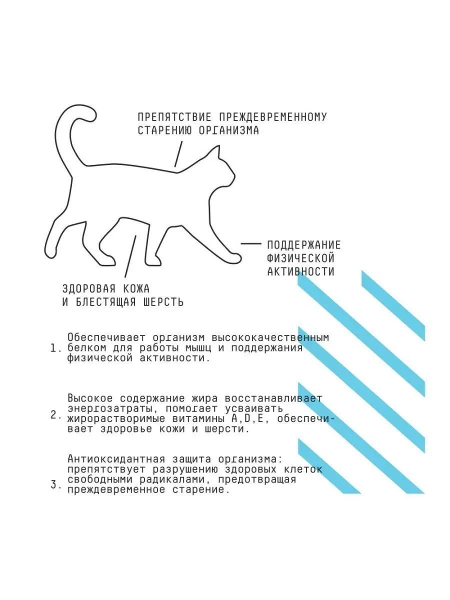 АЙО Аctive корм для взрослых кошек 1,5 кг AJO 163878054 купить в  интернет-магазине Wildberries