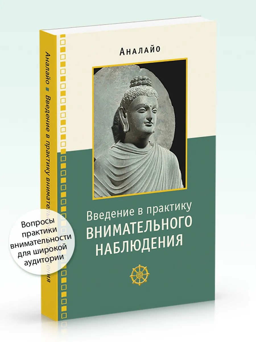 Введение в практику внимательного наблюдения