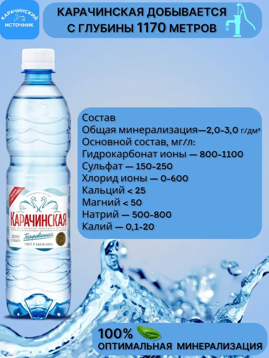 Минеральная вода Карачинская минералка газированная 0,5л12шт Карачинский  Источник 163959172 купить за 728 ₽ в интернет-магазине Wildberries