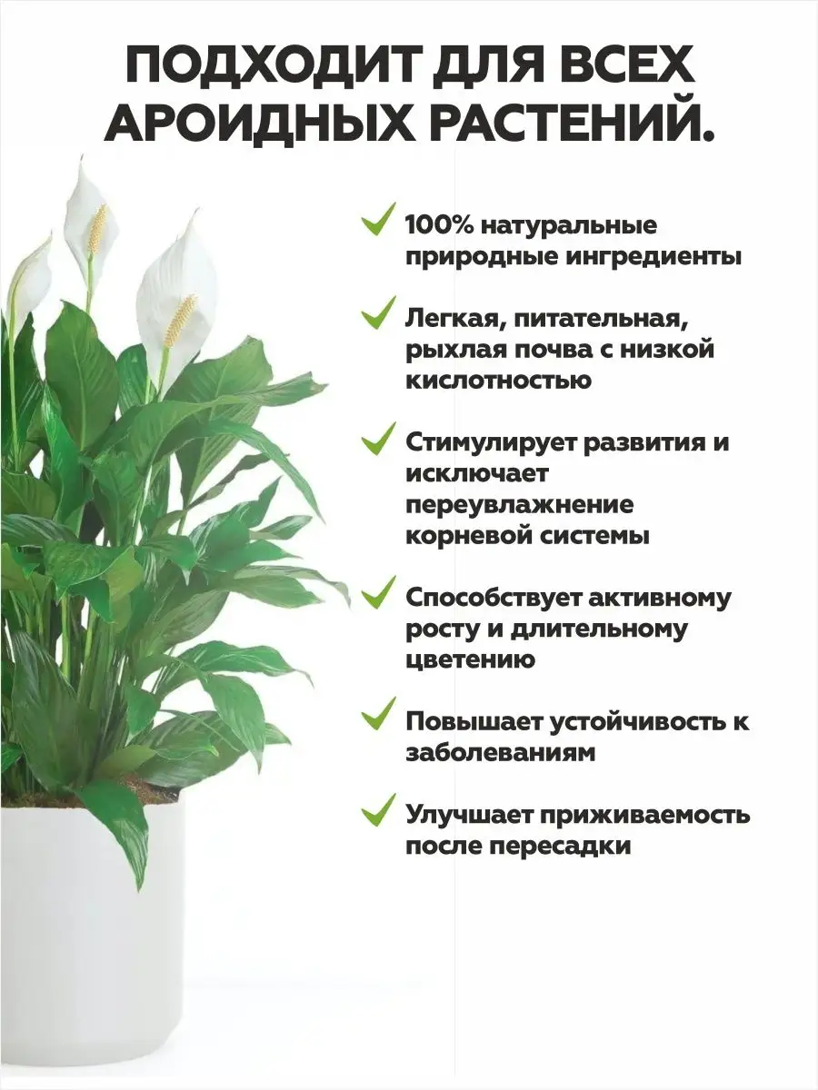 Земля для антуриума, спатифиллума, замиокулькаса грунт 10 л Агрономика  164003772 купить за 626 ₽ в интернет-магазине Wildberries