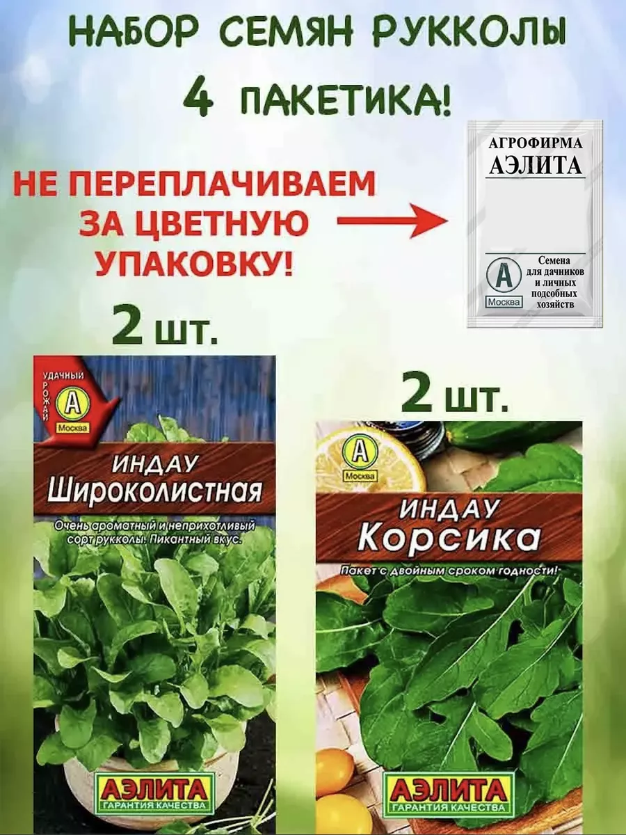 Семена руккола индау 4шт для посадки в открытый грунт