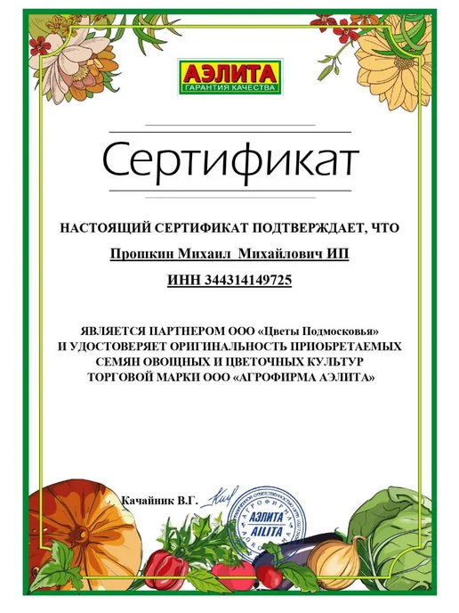 Агрофирма АЭЛИТА Семена кориандра набор 3шт, 5 шт, фото 3