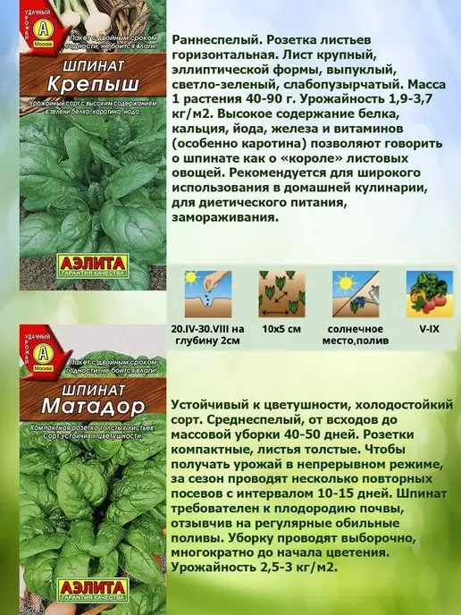 Агрофирма АЭЛИТА Семена кориандра набор 3шт, 5 шт, фото 4