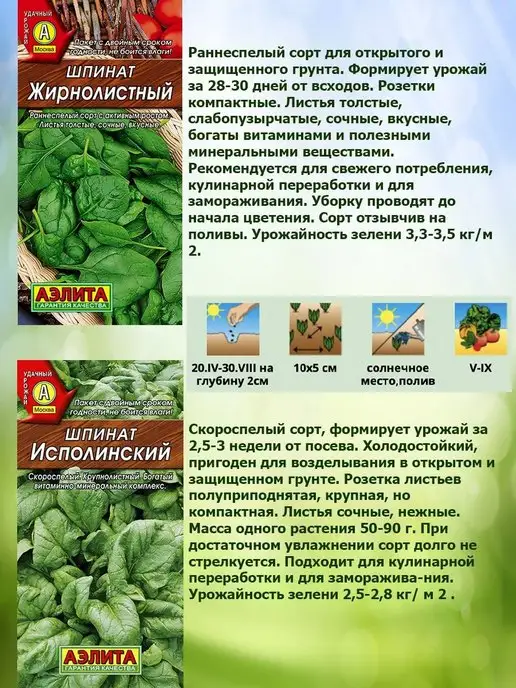 Агрофирма АЭЛИТА Семена кориандра набор 3шт, 5 шт, фото 5