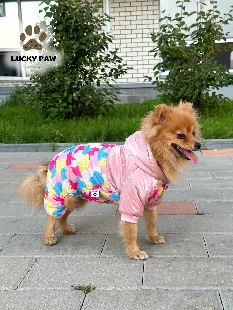 Одежда для собак: купить в интернет магазине с доставкой по Москве, Санкт-Петербургу